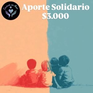 Aporte solidario 2